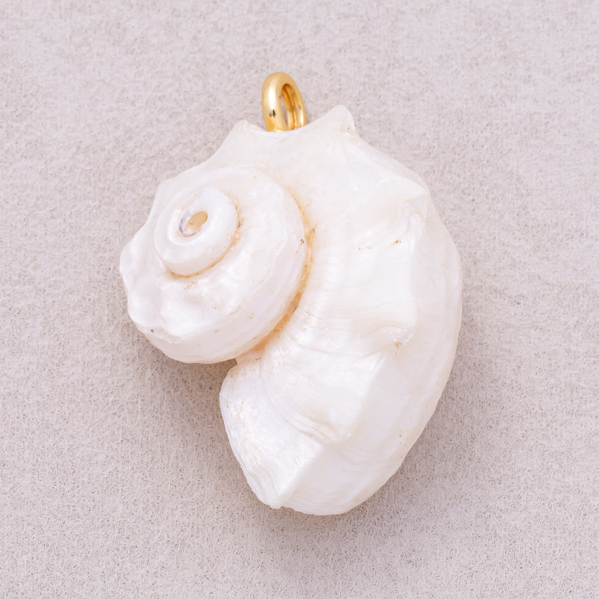 16K Gold Plated White Natural Conch Clam Seashell Beach Charm - Sold Each