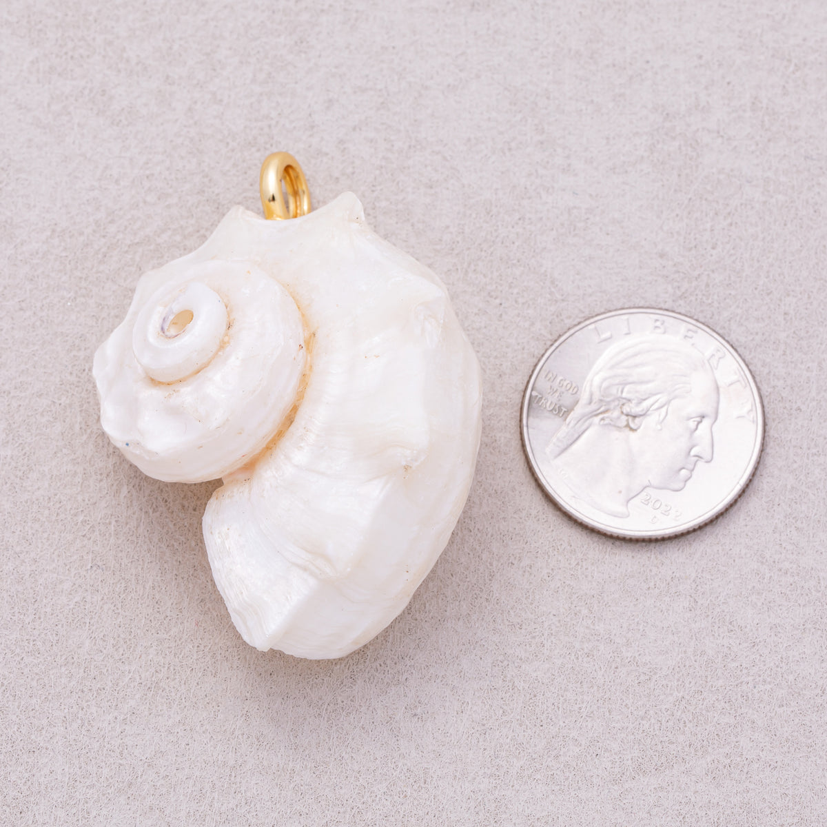 16K Gold Plated White Natural Conch Clam Seashell Beach Charm - Sold Each